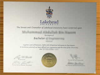 Lakehead University diploma