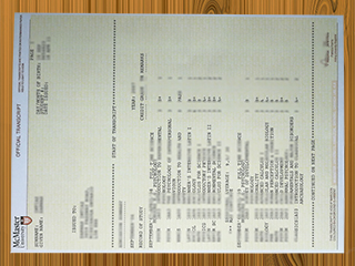 McMaster University transcript
