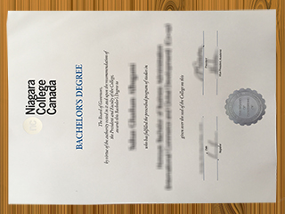 Niagara College diploma