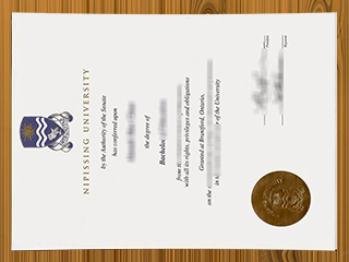 Nipissing University diploma