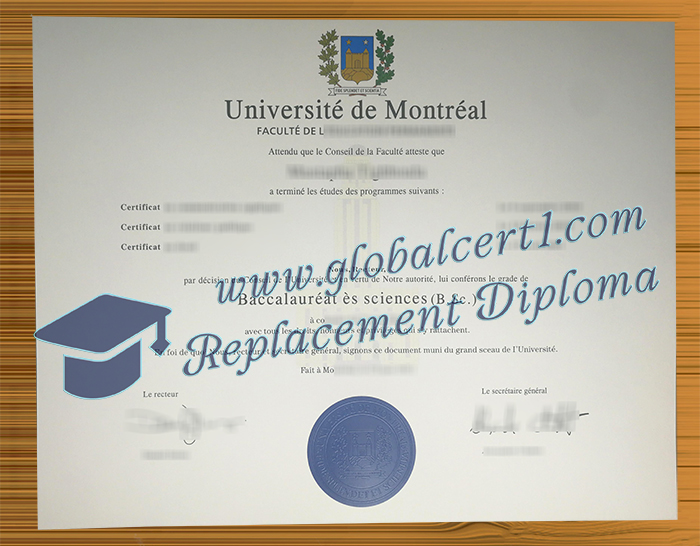 Université de Montréal degree