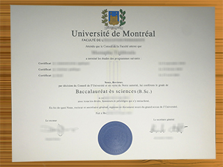 Université de Montréal diploma