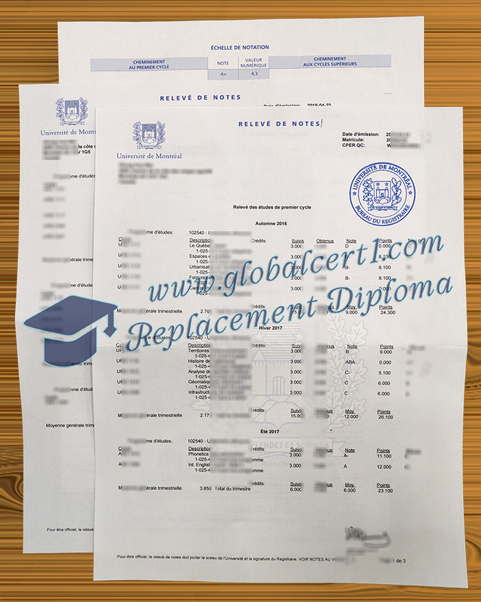 Université de Montréal transcript