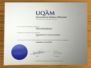 Université du Québec à Montréal diploma