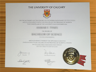 University of Calgary diploma