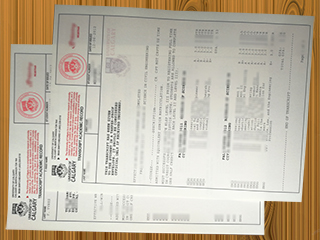 University of Calgary transcript