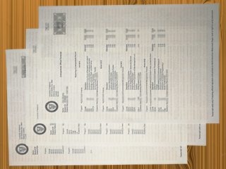 University of Waterloo transcript