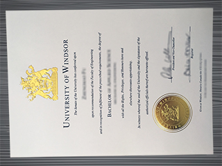 University of Windsor diploma