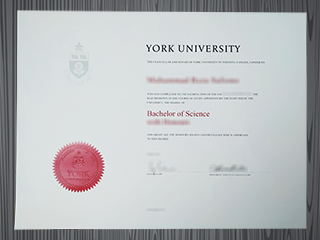York University degree