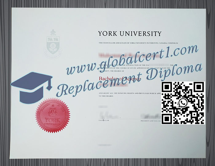 York University diploma