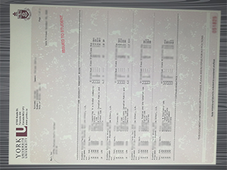 York University transcript