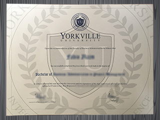 Yorkville University diploma
