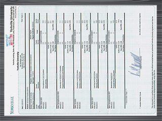 Yorkville University transcript