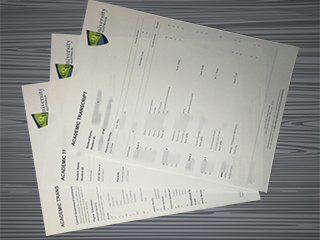 Central Queensland University transcript