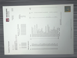 Macquarie University transcript