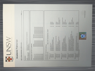 UNSW transcript