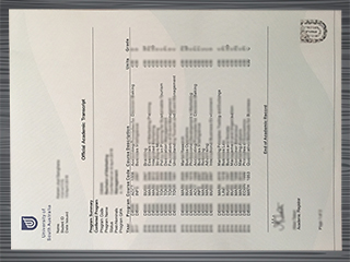 University of South Australia transcript