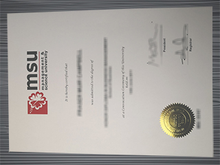 Management & Science University diploma