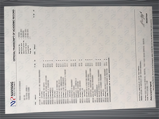 Nanyang Polytechnic transcript