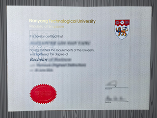 Nanyang Technological University diploma