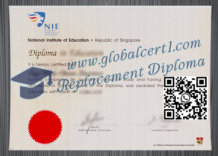 National Institute of Education degree