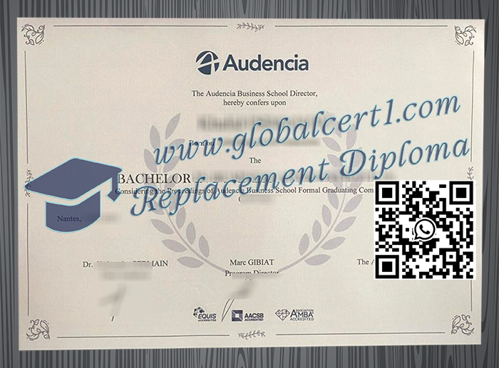 Audencia Business School degree