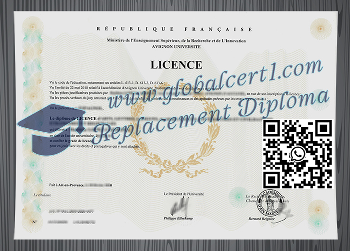 Avignon Université degree