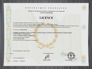 Avignon Université diploma