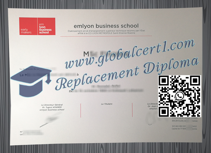 Emlyon Business School degree