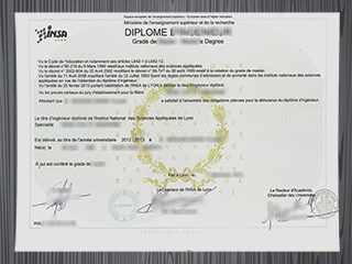 INSA Lyon diploma