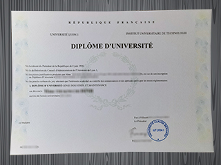 IUT Lyon 1 diploma