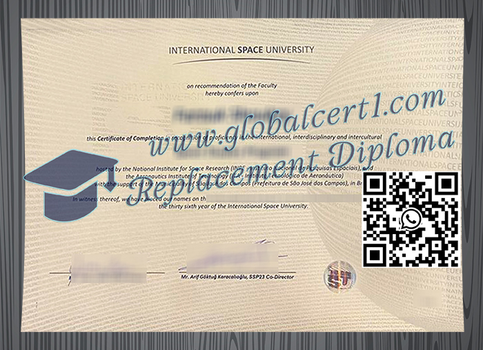 International Space University degree