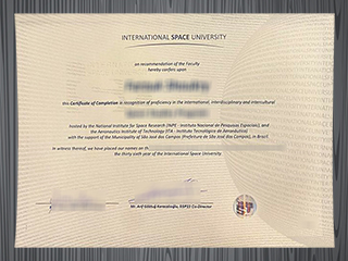 International Space University diploma