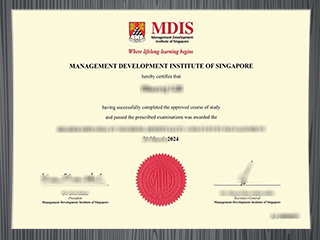 Management Development Institute of Singapore diploma