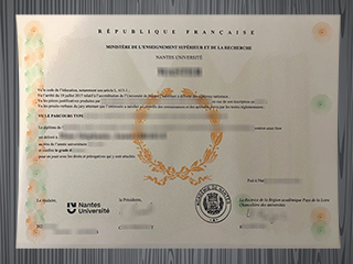 Nantes Université diploma