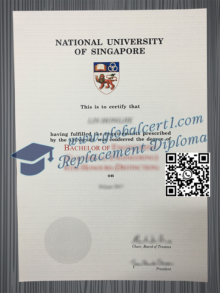 National University of Singapore degree