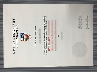 National University of Singapore diploma