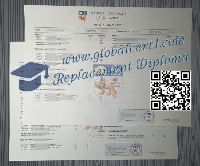 National University of Singapore transcript