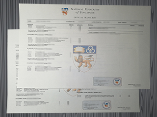 National University of Singapore transcript