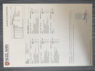 Ngee Ann Polytechnic transcript