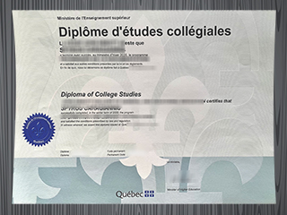 Quebec Diploma of College Studies