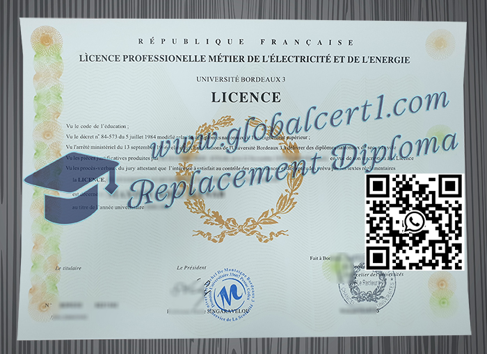 Université Bordeaux 3 degree