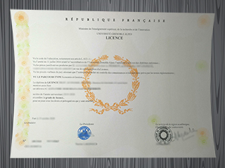 Université Grenoble Alpes diploma