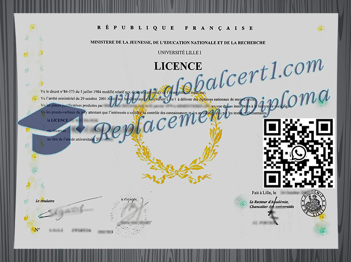 Université Lille I degree