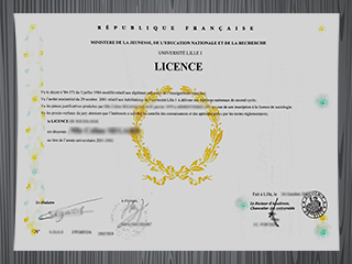 Université Lille I diploma