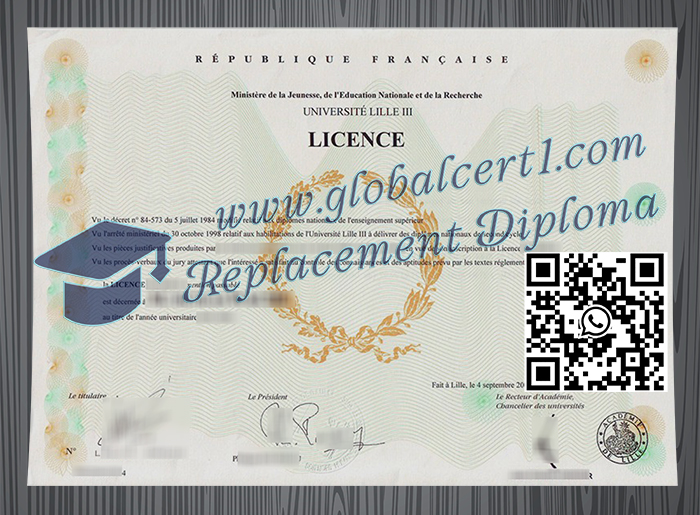 Université Lille III degree