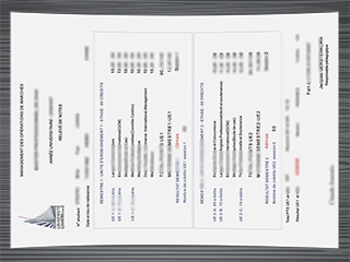 Université Lumière Lyon 2 transcript