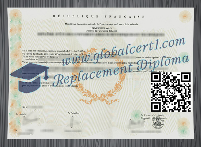 Université Lyon 1 degree