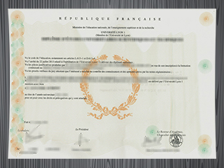 Université Lyon 1 diploma