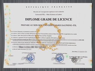 Université PSL diploma